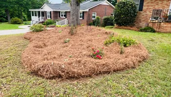 Lawn Maintenance for LC Lawn Care & Landscaping in Canon, GA