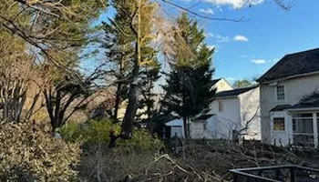 Tree Removal for Smith Tree Experts in Palmyra, VA