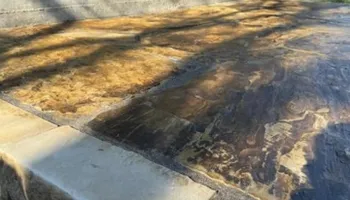 Lawn Maintenance for Brazos Valley Greenscapes in College Station, TX