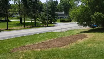 Tree Trimming & Removal for Freedom Outdoor Services in Glen Mills, PA
