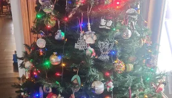 Fall Clean Up for Stafford.Works in Hendricks County, IN 