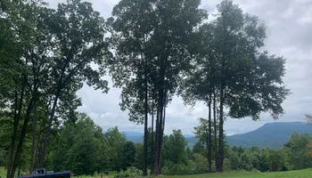 Tree Removal for VA Landgrowth LLC in Lexington, VA