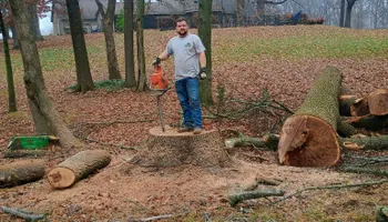 Land Clearing for 5 Star Land Management in Beech Bluff, TN