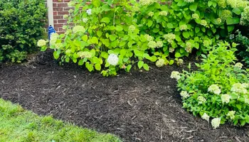 Softscaping Design & Installation for Mulch & Dig in West Bloomfield Township, MI