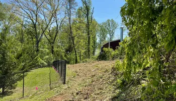 Tree Removal for Lucky’s Tree Removal and Landscape Services in Knoxville, TN