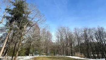 Tree Removal for Leaf and Limb in Townsend, MA