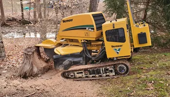 Tree Removal for W D Giampa Lawns and Landscape Inc. in Independent Hill, VA