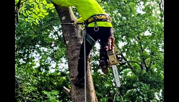 Concrete Services for Guzman's Landscaping Services in Austin, TX