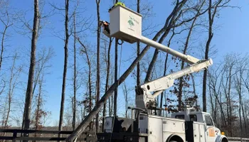Tree Removal for Ross Family Tree Service LLC  in Hohenwald, TN