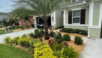 Landscape Design for Team Tolson Landscape in Tampa Bay, FL