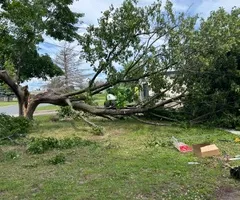 Tree Removal for Allstate Tree Service and Crane in Spring Lake Park, MN