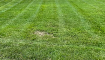 Mowing for R&L Deluxe Landscaping in Hanover Park, IL