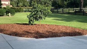 Landscape Maintenance & Mowing Services for Kings Legacy Services in Gainesville ,  FL