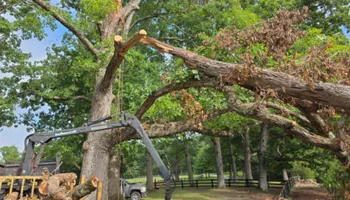Tree Removal for Smith Tree Experts in Palmyra, VA