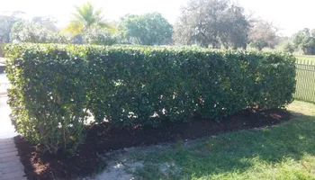 Mowing for Top Gun Lawn Care in Citrus, FL