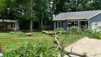 Tree Removal for Hunnicutt’s Tree Service L.L.C. in Monticello, IN