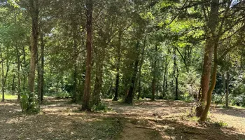 Land Clearing for Miller Farms Hay & Land Management in Knoxville, TN