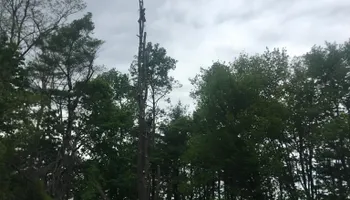 Tree Removal for Green In Green Out Tree Services in Westbrook, ME