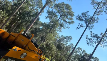 Asphalt Installation for Stanley & Sons Pavement in Naples, FL