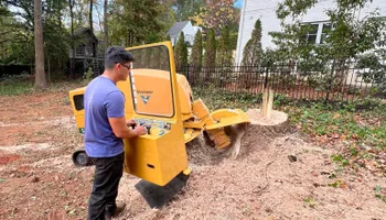 Tree Removal for J&M Stump Grinders LLC in Douglasville, GA