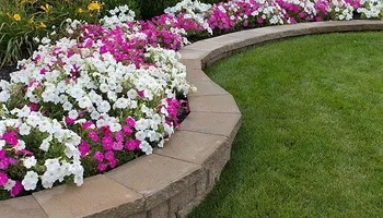 Lawn Clean Up for Healthy Roots Landscaping in Apex, NC