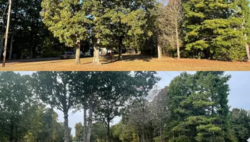 Tree Removal for Ross Family Tree Service LLC  in Hohenwald, TN