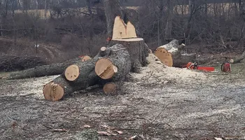Tree Removal for Fowler's Tree Service LLC. in New Albany, PA