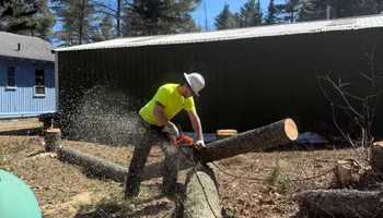 Tree Removal for J&Q Tree Service in Paradise, MI
