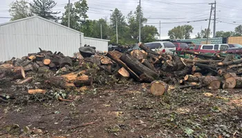 Tree Removal for General State Property Maintenance in New Haven, IN