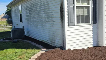 Tree Removal for Optimum Tree Service And Landscaping in Bowling Green, KY
