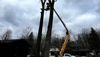 Tree Removal for Huntsville Tree Service in Huntsville, AL