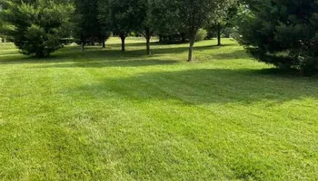 Tree Trimming for Wright Lawn Services in Ozark, MO