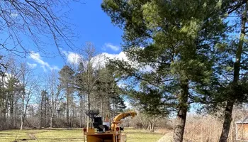 Tree Removal for Huntsville Tree Service in Huntsville, AL