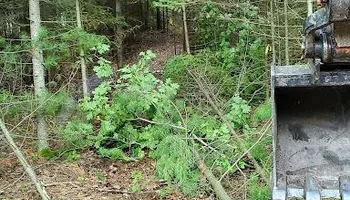 Driveways for T & T Excavating and Property Services in Presque Isle County, MI