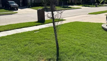 Tree Removal & Trimming for Teague Trees and Land Clearing in Rendon, TX
