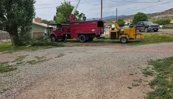 Tree Removal for Langston Tree & Landscape LLC in Canon City, CO