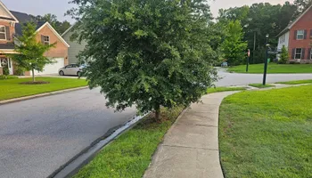 Mowing for 1 Man Does It Lawn Service in Blythewood, SC