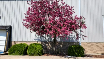 Mowing for Elite Landscaping in Hampshire, IL