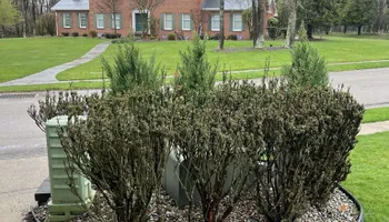 Lawn Care & Maintenance for Wilt Landscaping in Greenville, PA