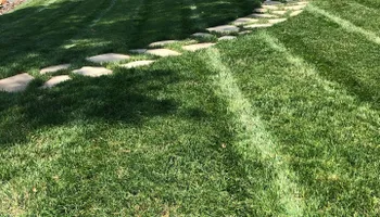Mowing for Grandview Lawn Care in Norwood, NC