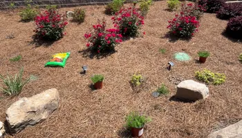 Lawn Maintenance for WD Lawn Services in Loganville, GA