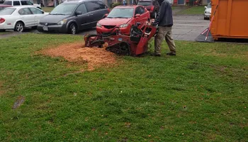 Tree Removal for Rush Tree Specialist in Knoxville, TN