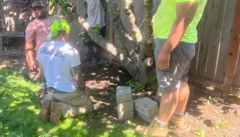 Tree Removal for T&S Tree Care LLC in Portland, OR