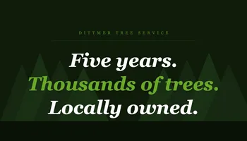Tree Removal for Dittmer Tree Service in Davenport, IA