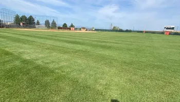 Sod  for Top Notch Lawn Care in Lakewood, CO