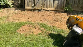 Stump Removal for Mad Dust Stump Grinding in Howard County, MD