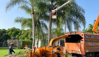 Tree Trimming for Sam's Tree Service in Miami Beach,  FL