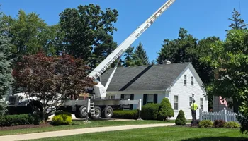 Tree Removal for Down To Earth Tree Service, LLC in Westlake, OH