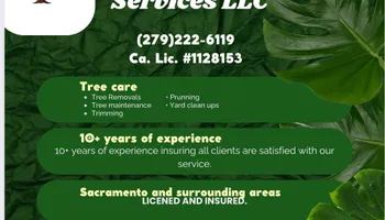 Tree Removal for Sammy's Tree Services in Sacramento, CA