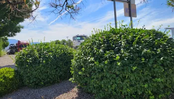 Residential Lawn Maintenance for 2 Brothers Landscaping in Albuquerque, NM